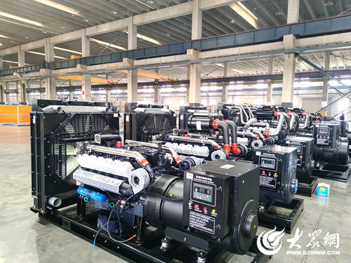 府東街點題，菏澤交出重點項目突破答案——生物質成型燃料銷售領航綠色發(fā)展